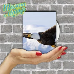  Animals 069 Орел 06